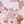 Light Pink Floral