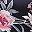 Black Flowers