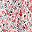 Red Flower White