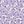 Purple Flower