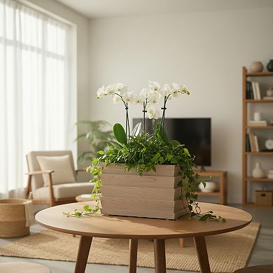 Geometric Planter Box Weatherproof Textured Finish Stone Composite for Garden