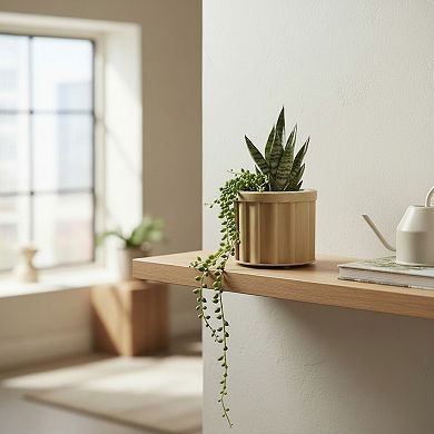 Outdoor Garden Planter with Stackable Design Space Saving Resin for Balcony