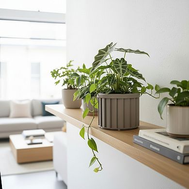 Geometric Planter Box Architectural Tapered Design Resin for Entryway and Deck