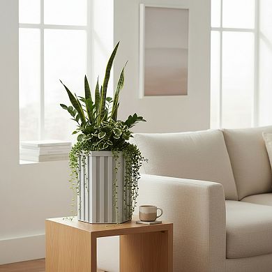 Geometric Planter Bowl Low Profile Wide Base Stone Composite for Tabletop