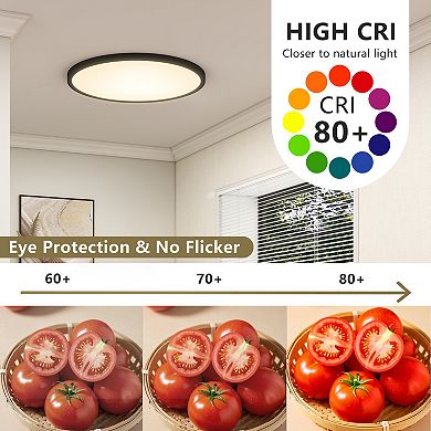 Dimmable LED Flush Mount Light with Sealed Design for Bedroom and Porch