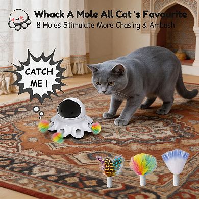 Splendid Frame Cat Laser Toy
