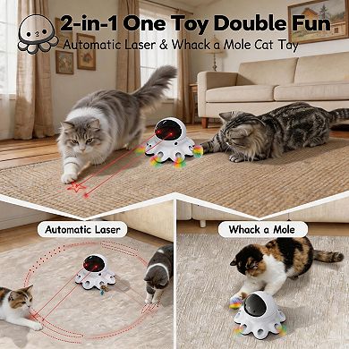 Splendid Frame Cat Laser Toy