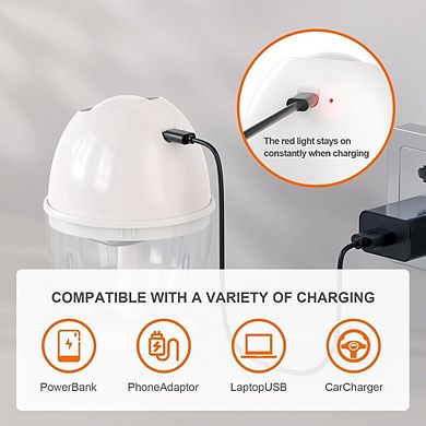Portable Electric Garlic Chopper, Cordless Mini Food Processor with Stainless Steel Blades