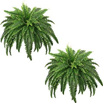 Artificial Fern Shrubs