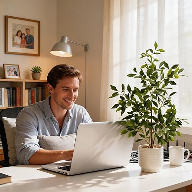 Artificial Ficus Bonsai, Ceramic Planters