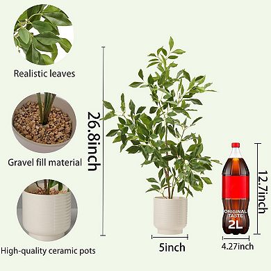 Artificial Ficus Bonsai, Ceramic Planters