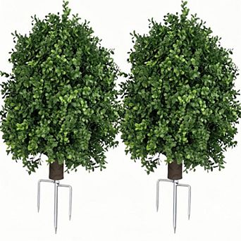 Boxwood Topiary Plants
