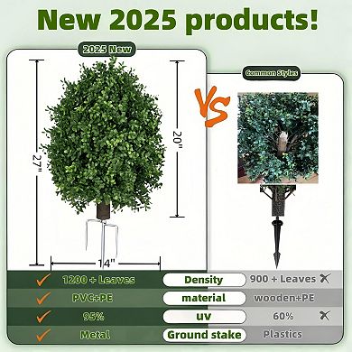 Boxwood Topiary Plants