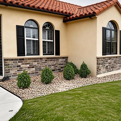 Boxwood Topiary Plants