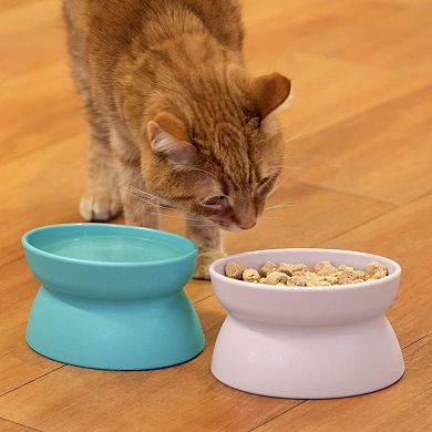 Modern Raised Pet Bowl Set