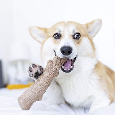 Moderate Chew Dog Toy