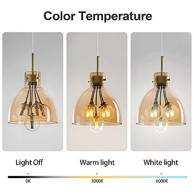 ZLAIQB 5-Light Cognac Glass Globe Pendant 9.84in Pendant Light