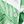Green Leaf