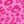 Hot Pink Leopard