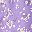 Purple White