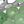 Green Aventurine