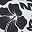 Black White Tropical