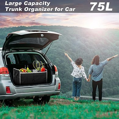 Car Trunk Organizer Cooler Bag 2 Compartment Collapsible Storage SUV
