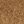 Bronze White