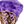 Gold Purple