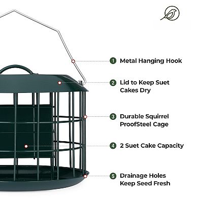 Squirrel Proof Suet Feeder Double Cake Capacity All Metal Hanging Bird Feeder