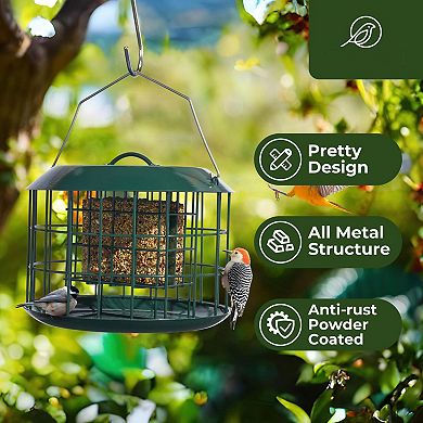 Squirrel Proof Suet Feeder Double Cake Capacity All Metal Hanging Bird Feeder