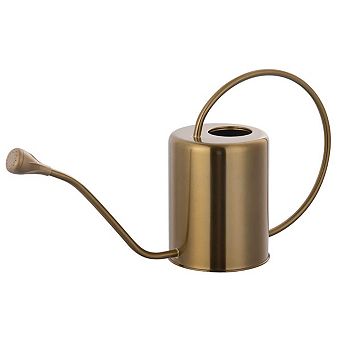 Stainless Steel Watering Can Long Spout Removable Spray For Indoor Outdoor Gardening