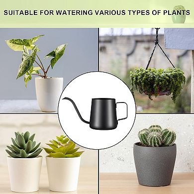 12 Oz Stainless Steel Indoor Plant Watering Can Long Spout Teflon Coated