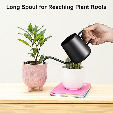 12 Oz Stainless Steel Indoor Plant Watering Can Long Spout Teflon Coated