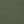 Deep Forest Green