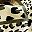 Gold Leopard