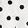 White Medium Dot