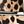 Leopard Printed