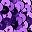 Silver Side Purple