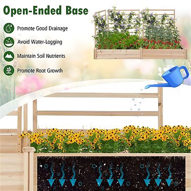Raised Garden Bed with 3 Climbing Trellises for Vegetables, Herbs, Flowers