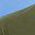 Blue Olive Green