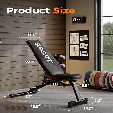Adjustable Collapsible Weight Bench