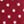 White Dots On Burgundy
