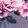 Grey Floral Blue