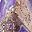 Purple Silvery