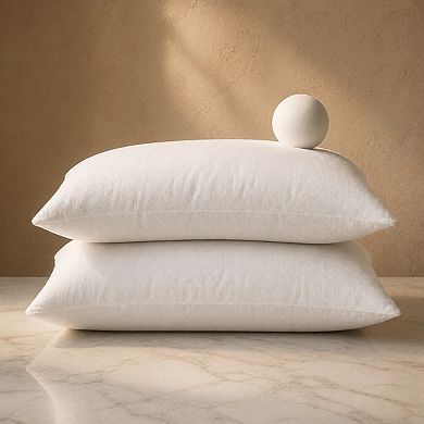 12x20 Pillow Inserts Set Of 2 Decorative Throw Fluffy Forms For Living Room Sofa Couch Bed