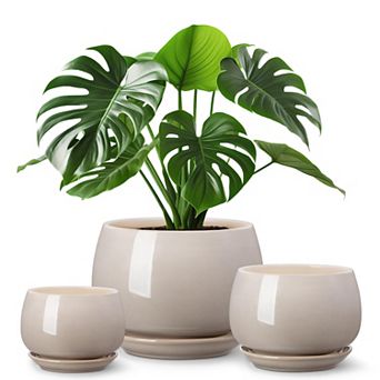 3-Pack Ceramic Plant Pots Indoor Planters with Saucers Drainage Hole for Plants