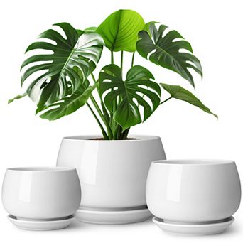 3-Pack Ceramic Plant Pots Indoor Planters with Saucers Drainage Hole for Plants