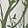 Loden Green
