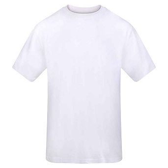 Awdis Mens Signature Plain Heavyweight T-Shirt